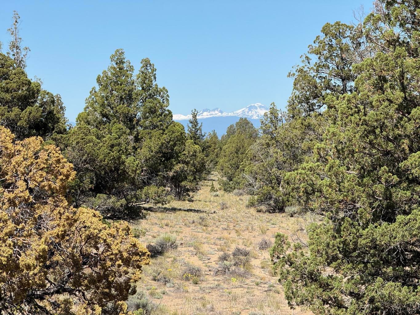 Photo of Tumalo 1 of 15
