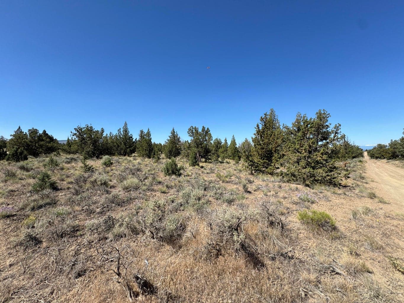 Photo of Tumalo Way SE 6 of 15