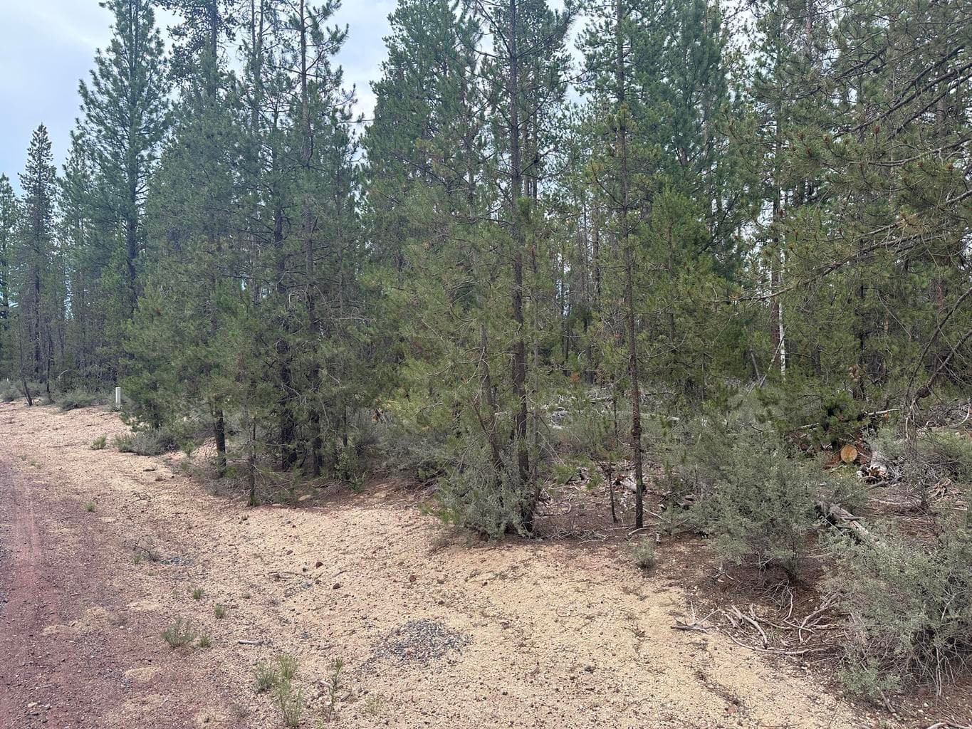 KamLoop, Gilchrist, 97737