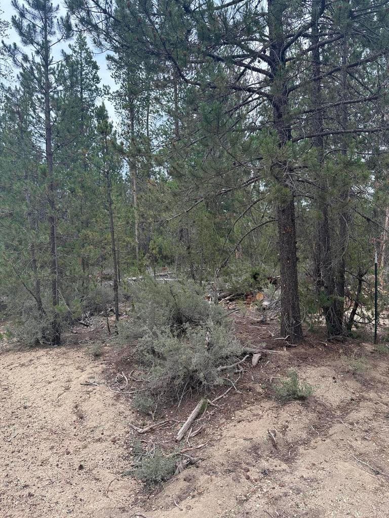 Photo of KamLoop 3 of 3