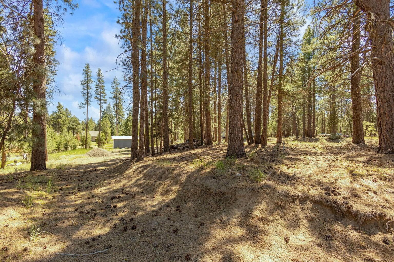 Photo of 15505 Rim Drive 6 of 14
