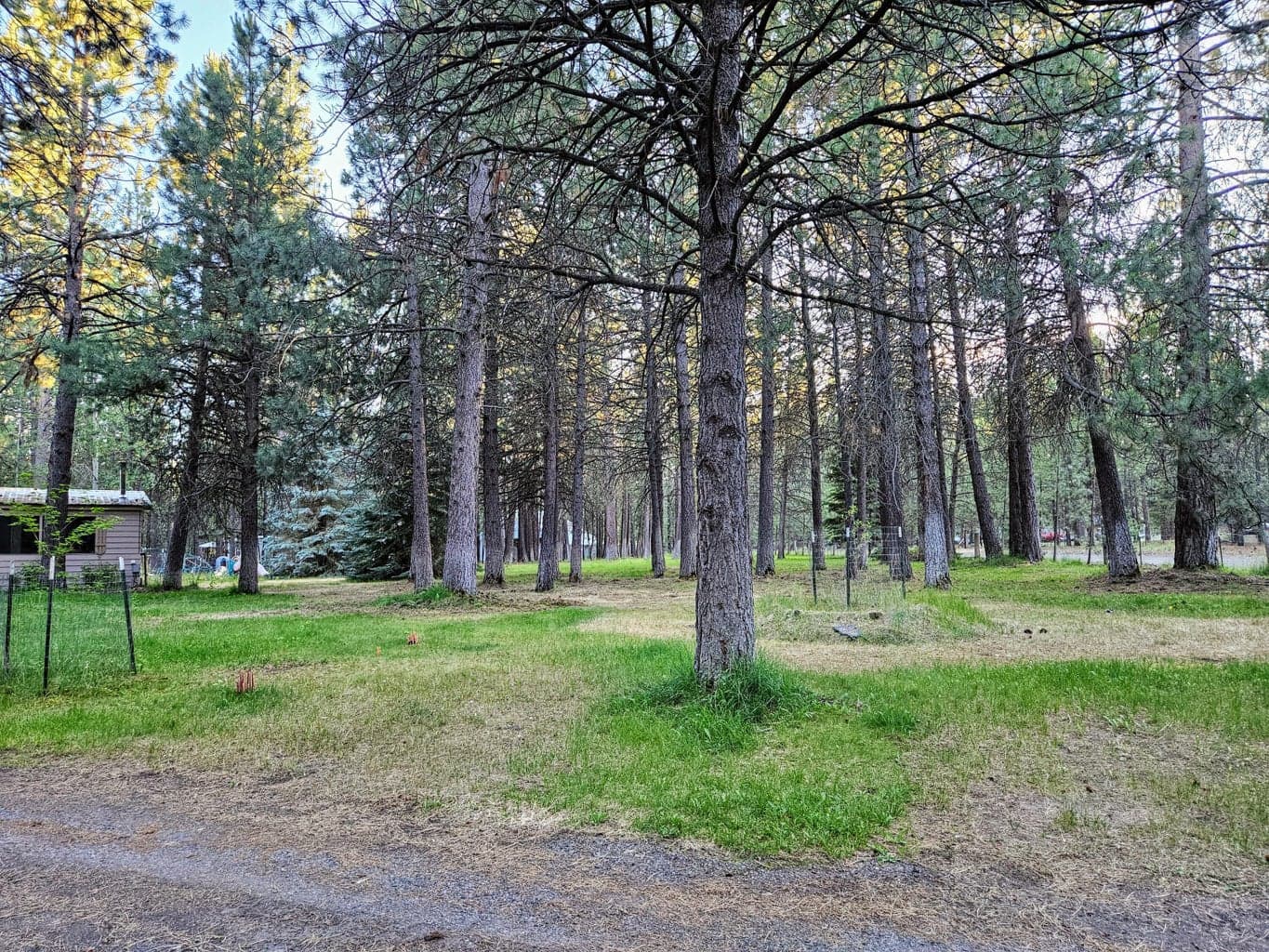 Photo of 51830 Pine Loop Drive 23 of 27