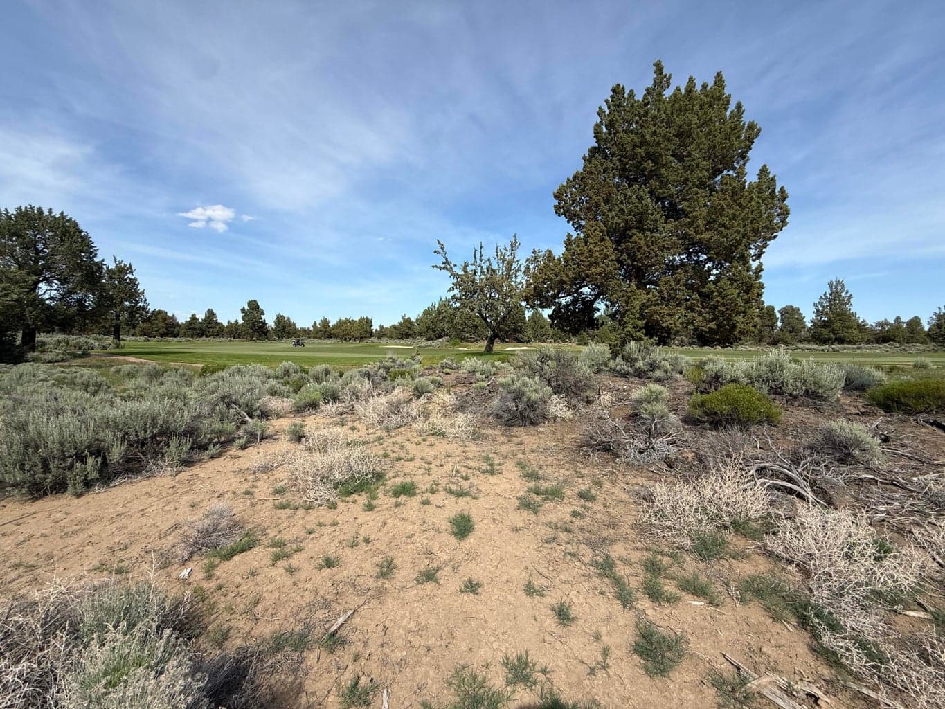 Photo of 65840 Pronghorn Estates 3 of 29