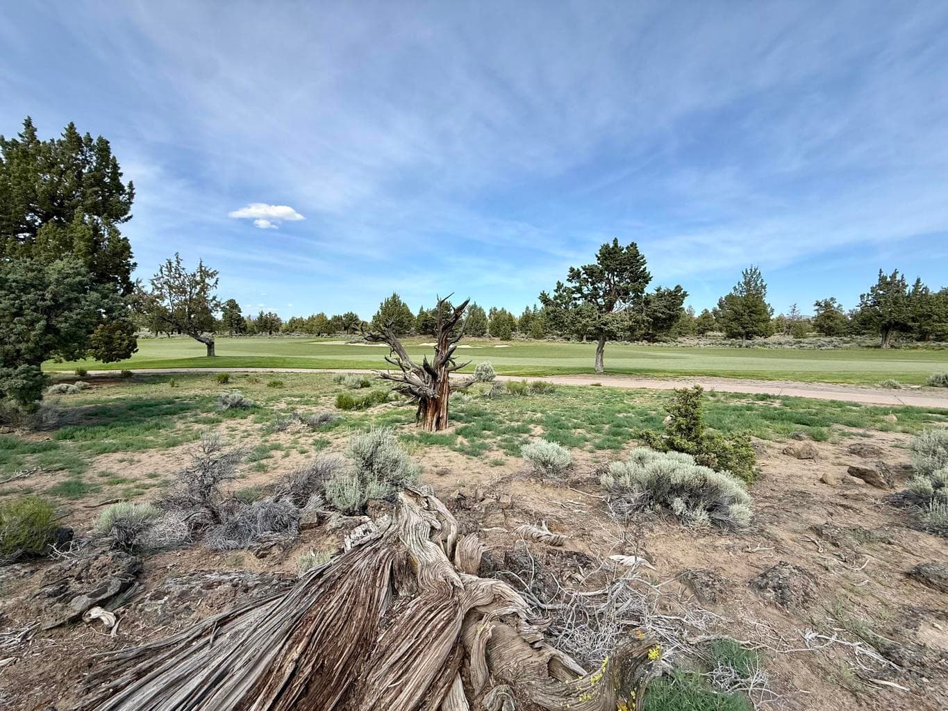 Photo of 65840 Pronghorn Estates 4 of 29