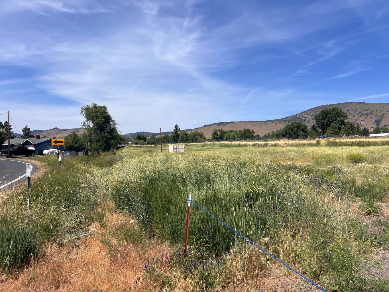 Photo of 00 Crest 5 of 7