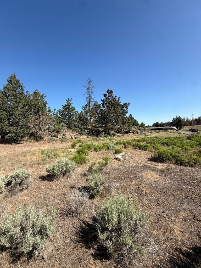 Photo of 21710 McGilvray 5 of 7