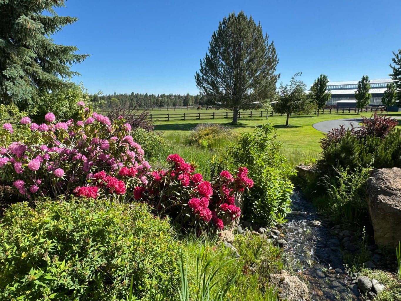 Photo of 64095 Tamoli Lane 62 of 64