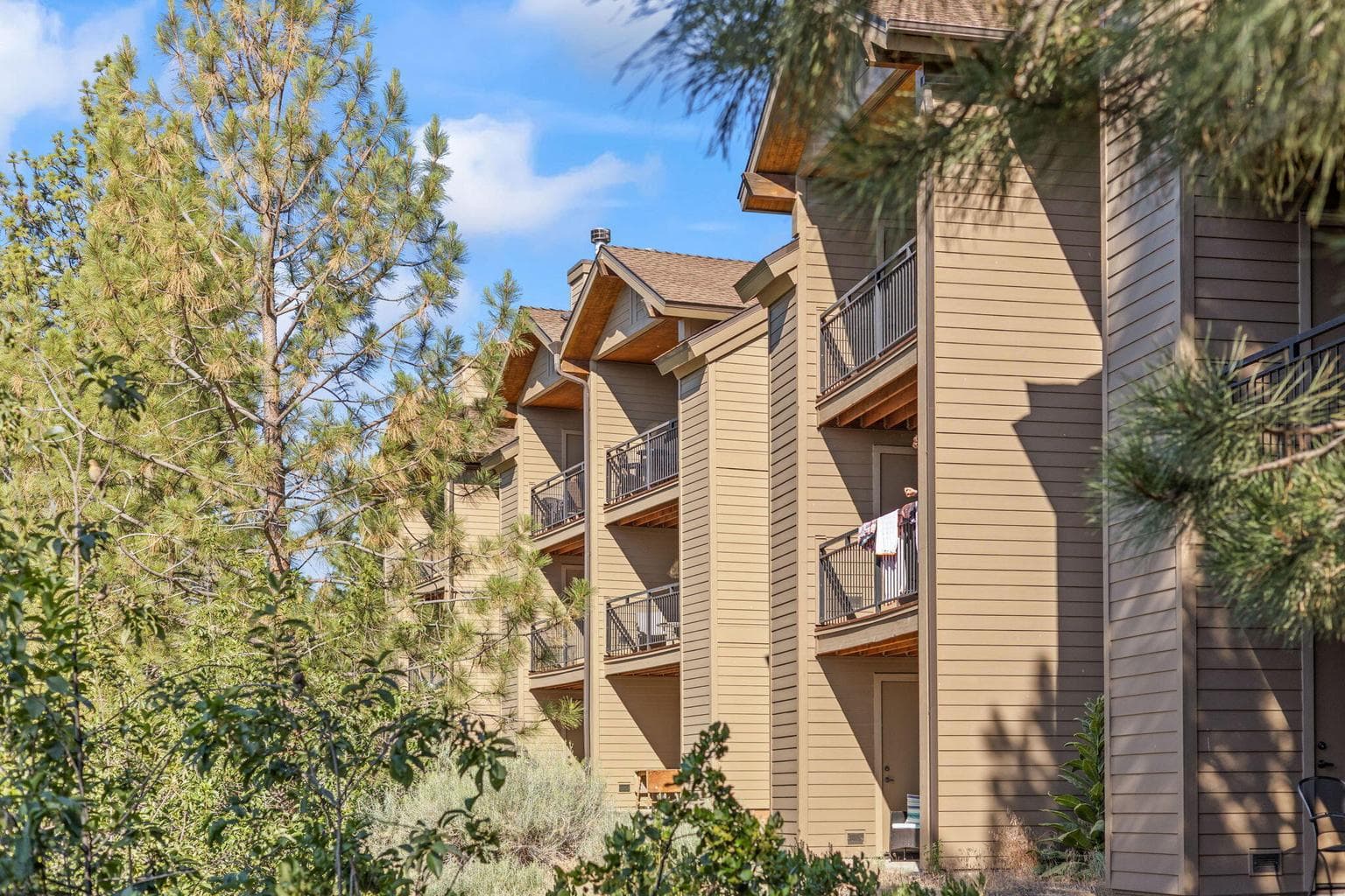 Photo of 18575 SW Century Drive 17 of 33