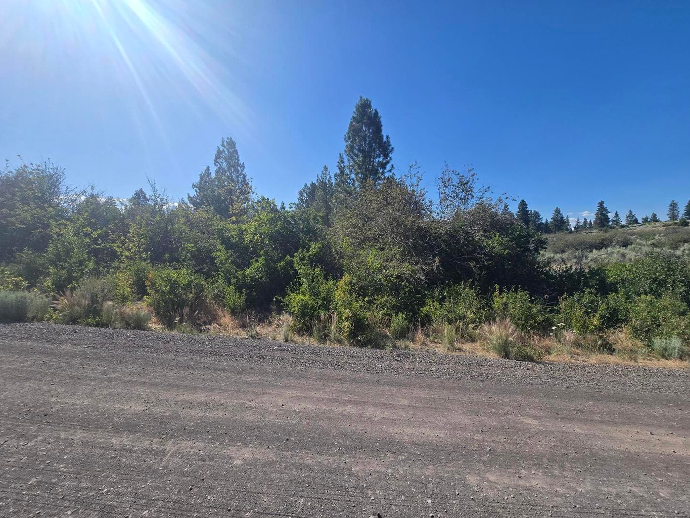 Photo of Wrightwood 2 of 5