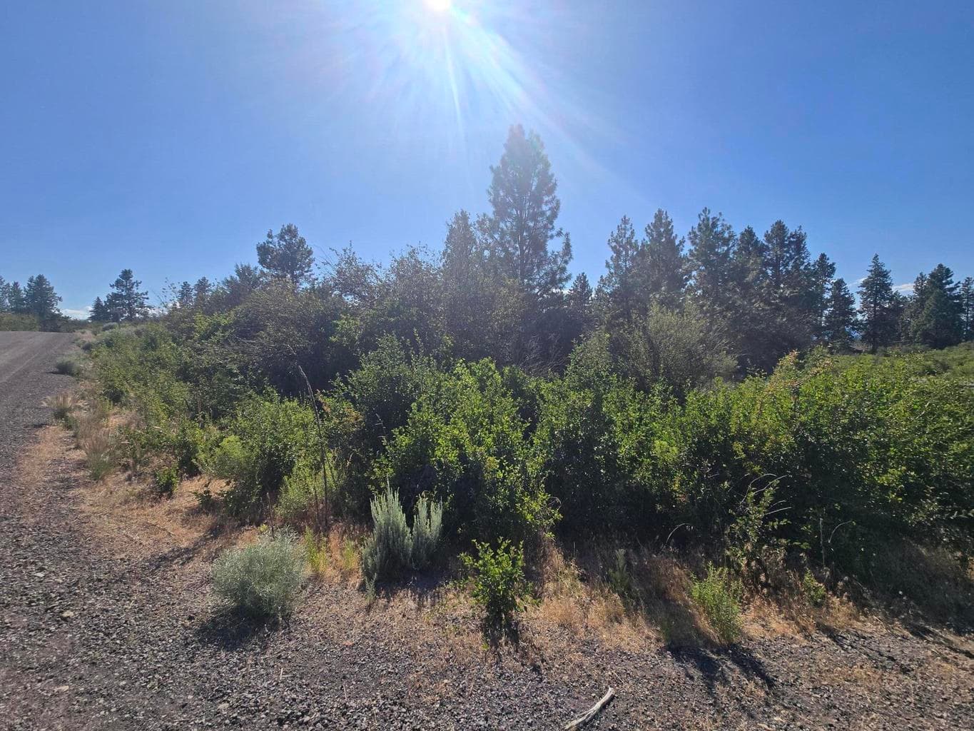 Photo of Wrightwood 3 of 5