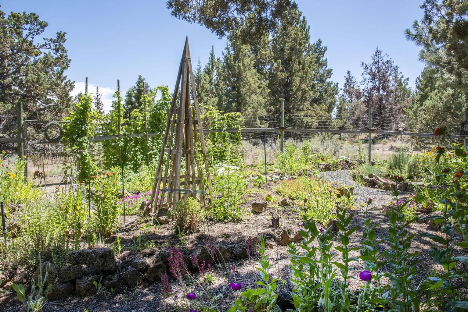 Photo of 62824 Loma Vista Drive 45 of 51