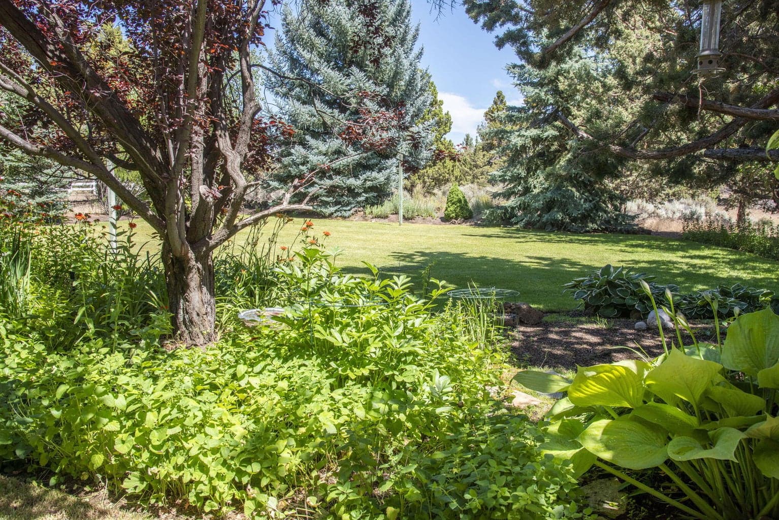Photo of 62824 Loma Vista Drive 46 of 51