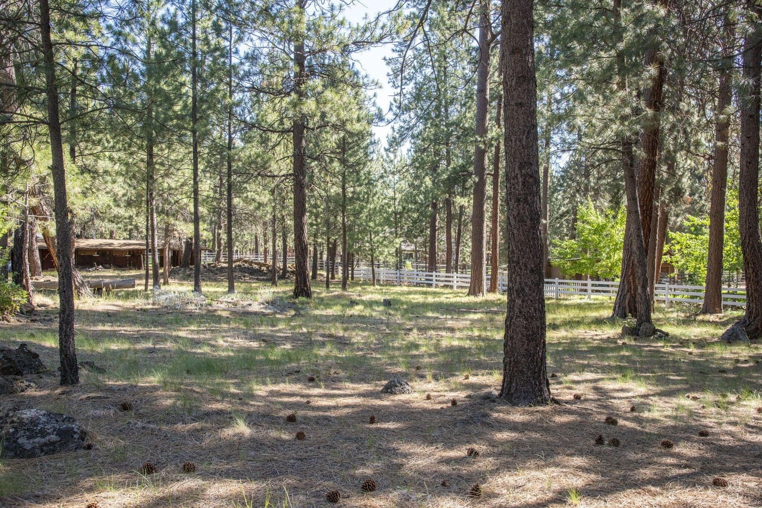 Beautiful Backyard on One Acre