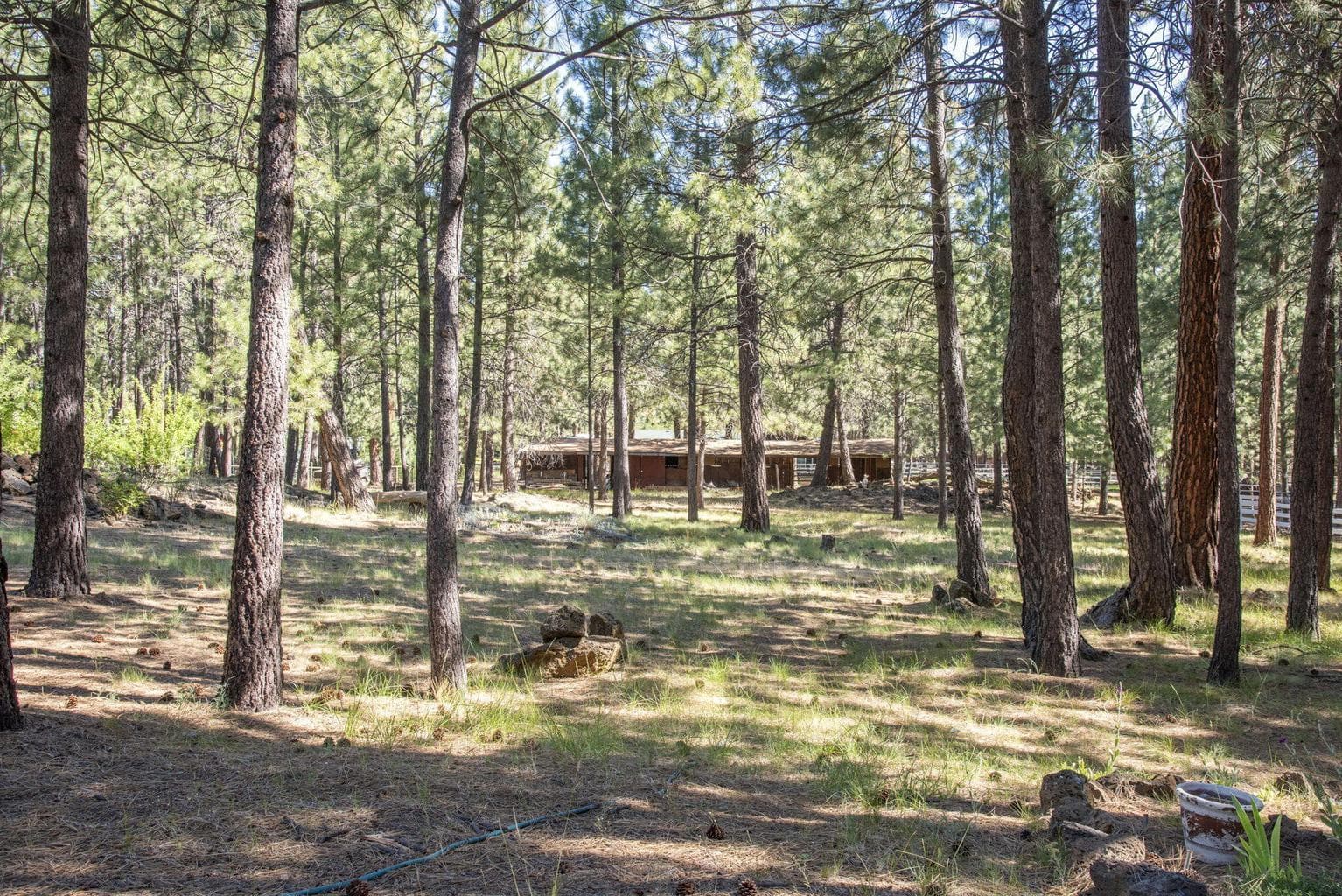 Photo of 14570 Mountain View Loop 28 of 28