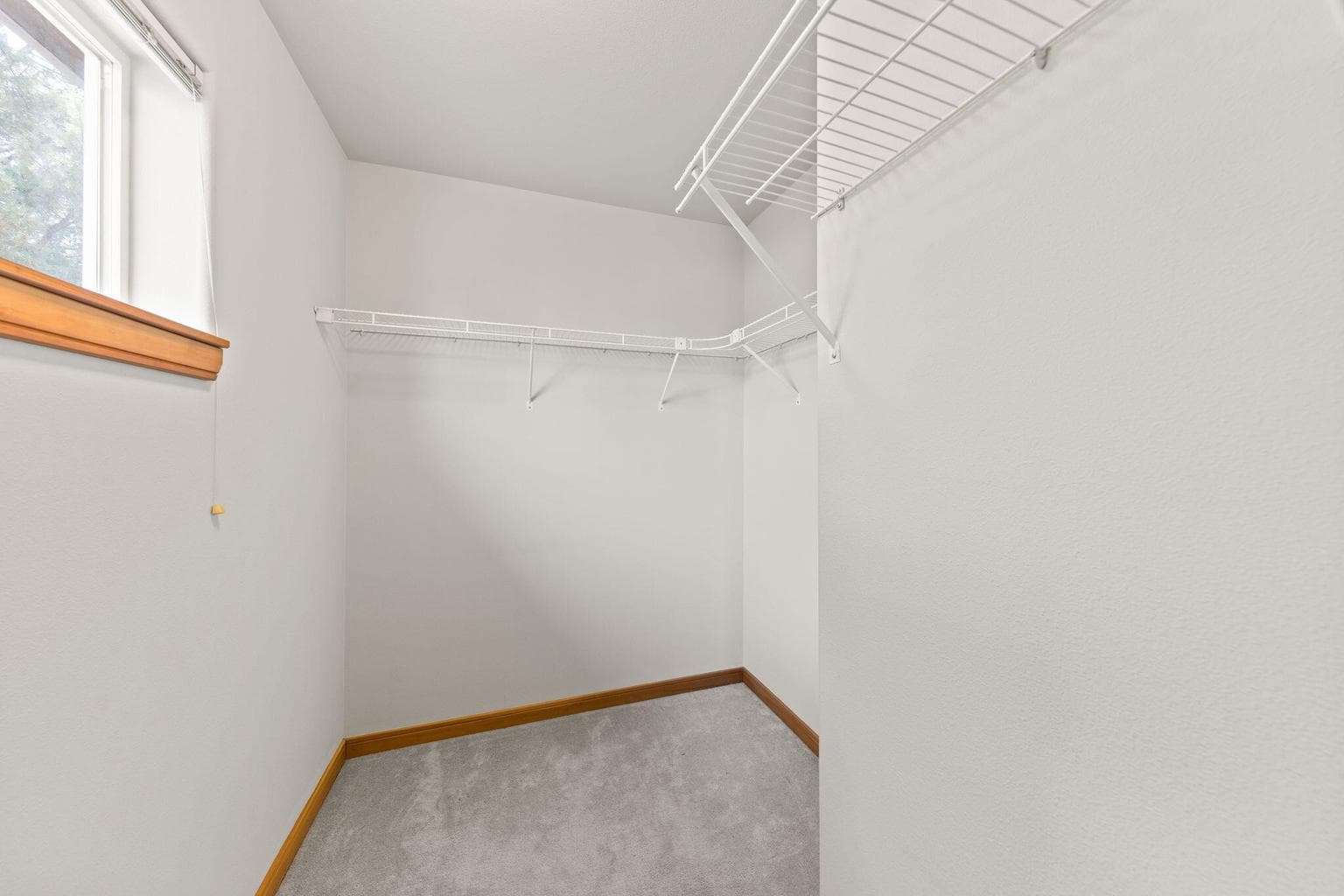 Primary bedroom closet