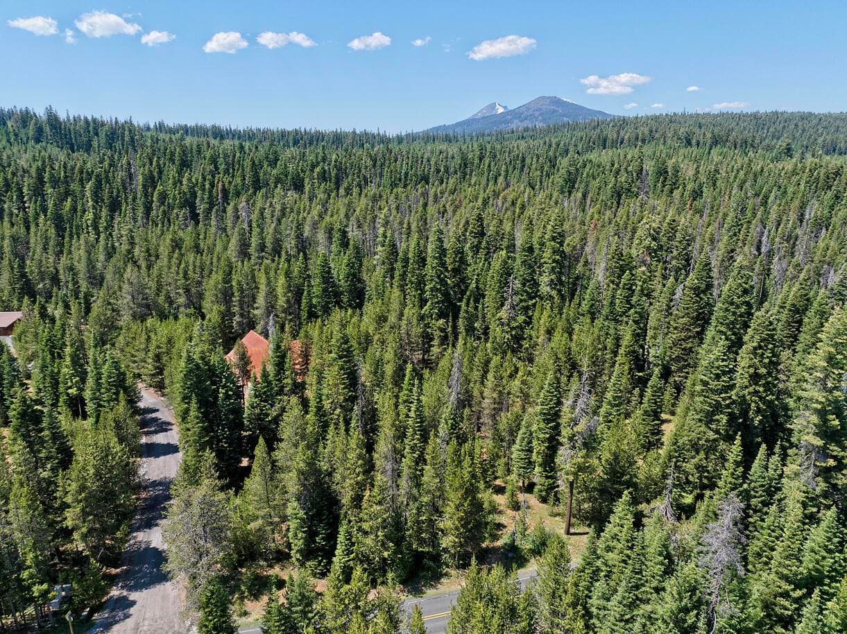 Photo of 0 Timber 3 of 21