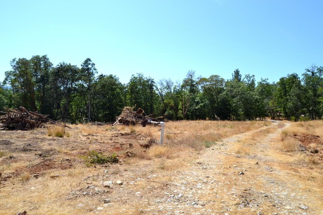 Photo of 779 Harris 2 of 6