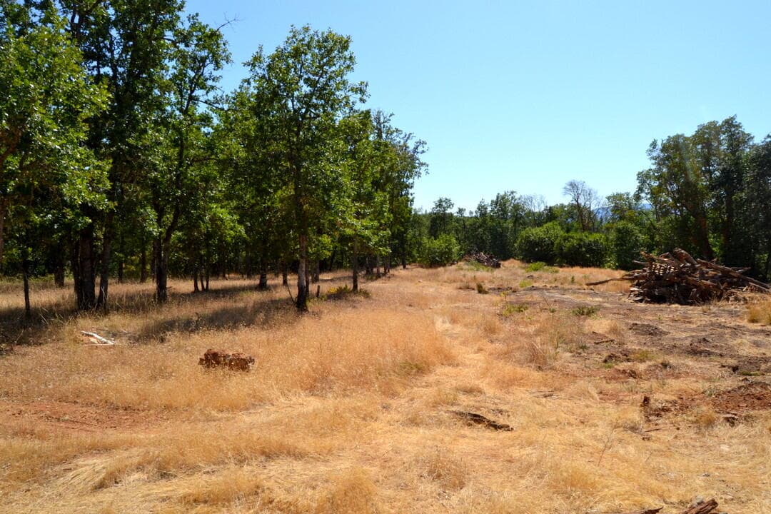 Photo of 779 Harris 3 of 6