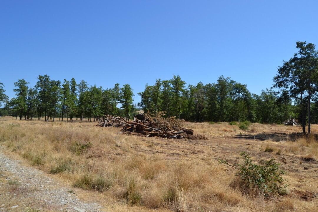 Photo of 779 Harris 5 of 6