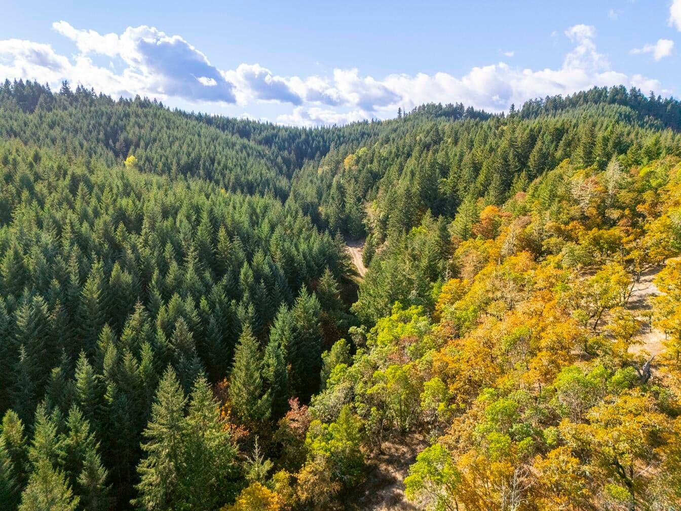 Oak Hill, Roseburg, 97471