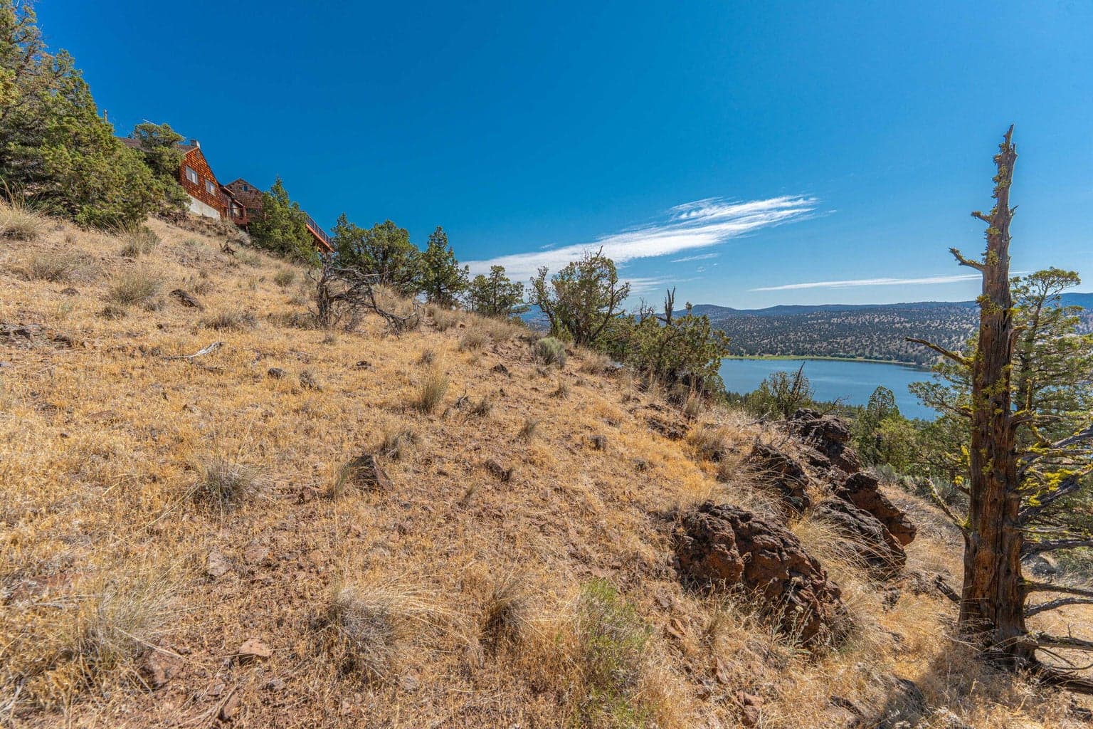 Photo of Jasper Knolls TL7100 5 of 37
