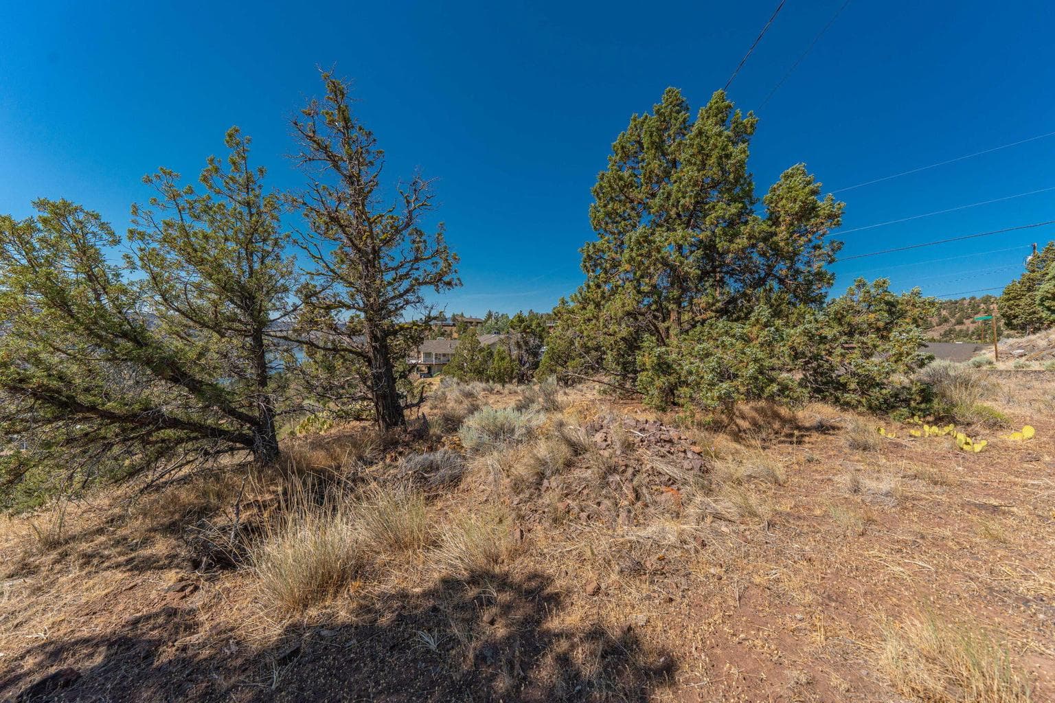 Photo of Jasper Knolls TL7100 4 of 37