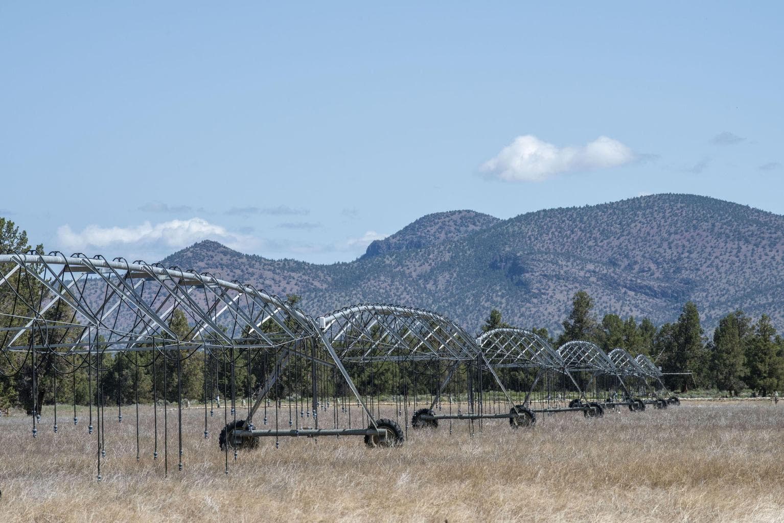 Photo of 25800 Alfalfa Market Road 8 of 33