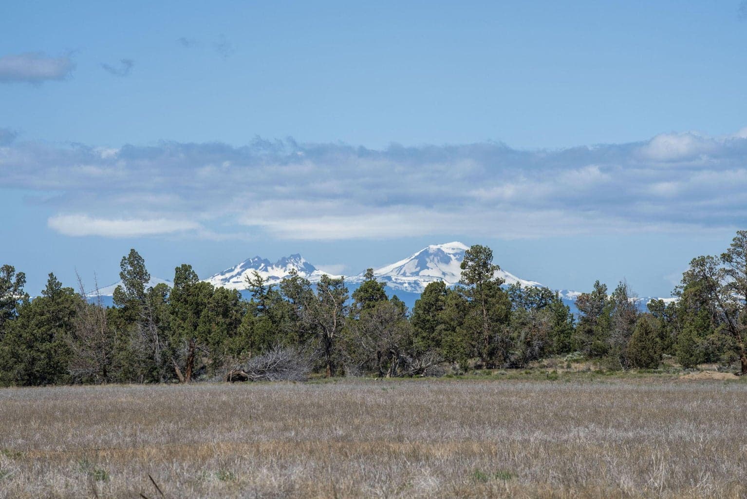 Photo of 25800 Alfalfa Market Road 9 of 33