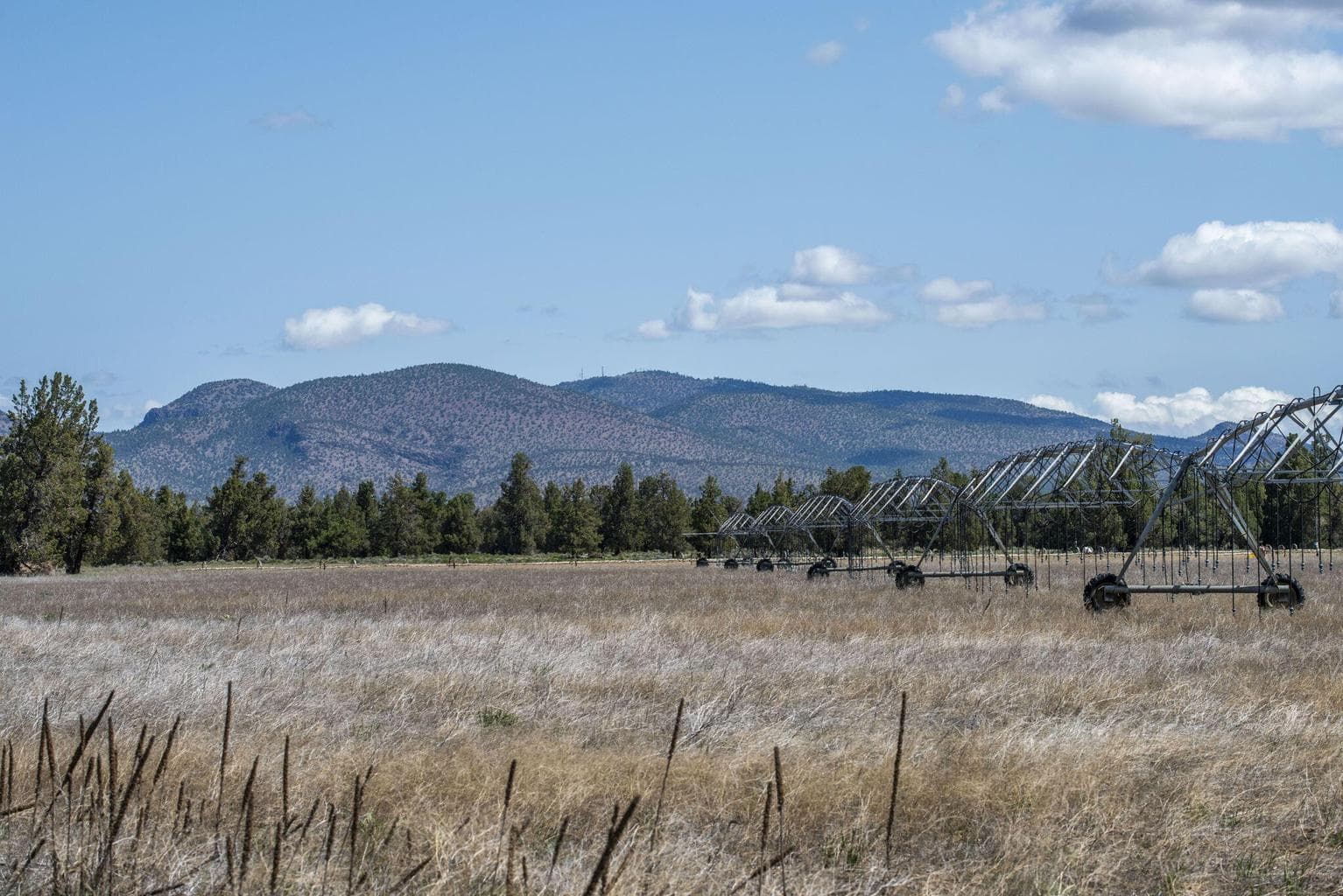 Photo of 25800 Alfalfa Market Road 10 of 33