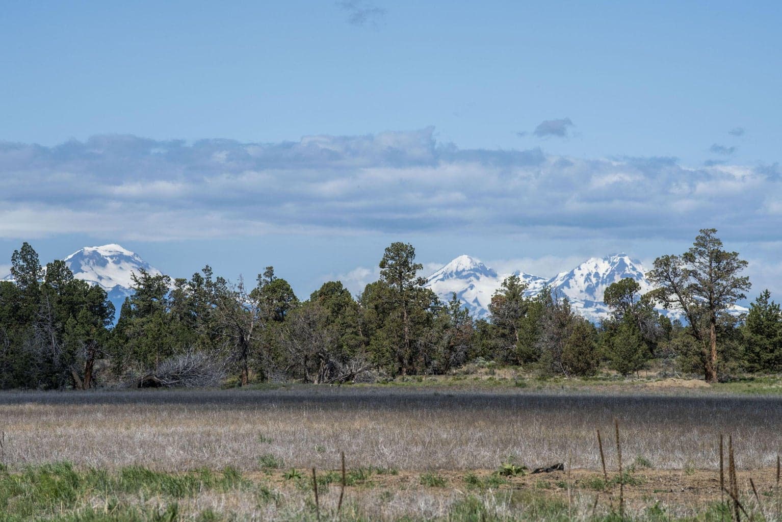 Photo of 25800 Alfalfa Market Road 11 of 33