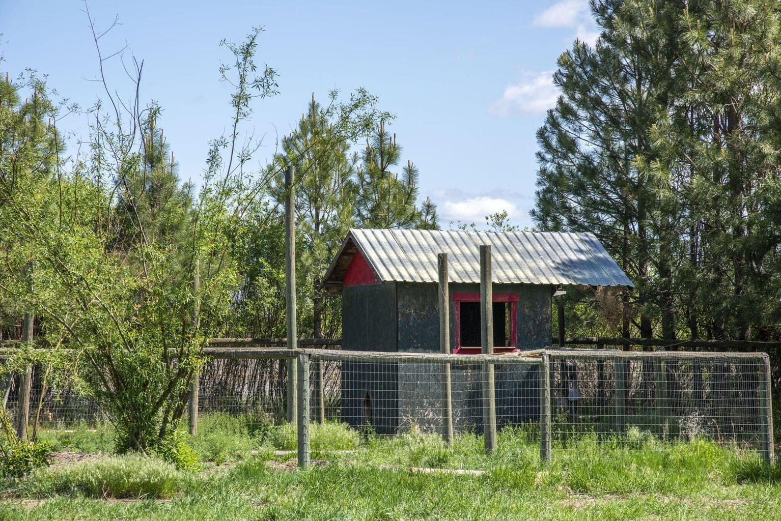 Photo of 25800 Alfalfa Market Road 12 of 33