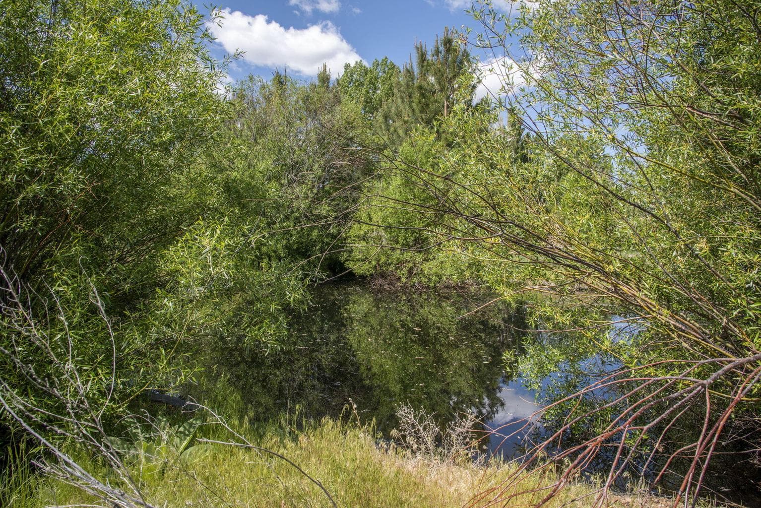 Photo of 25800 Alfalfa Market Road 14 of 33