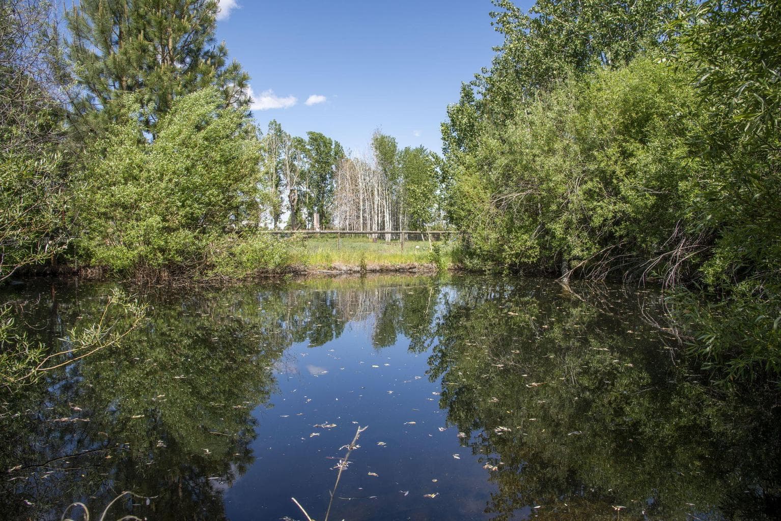 Photo of 25800 Alfalfa Market Road 15 of 33