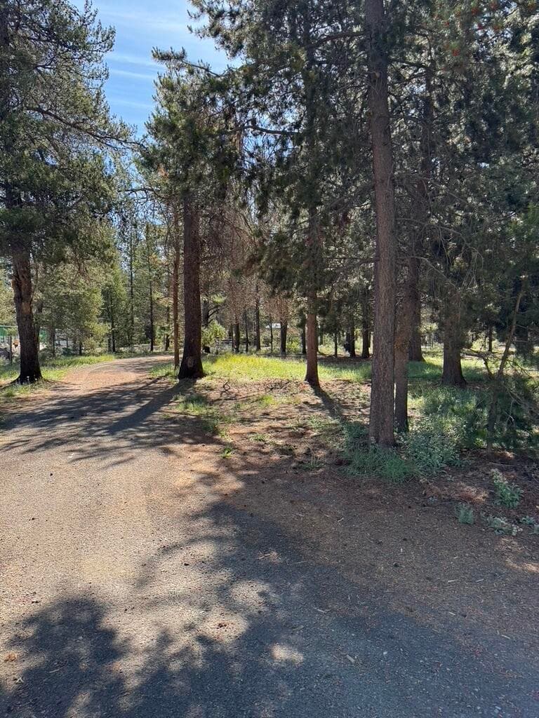 Photo of 52737 Wayside Loop 19 of 20