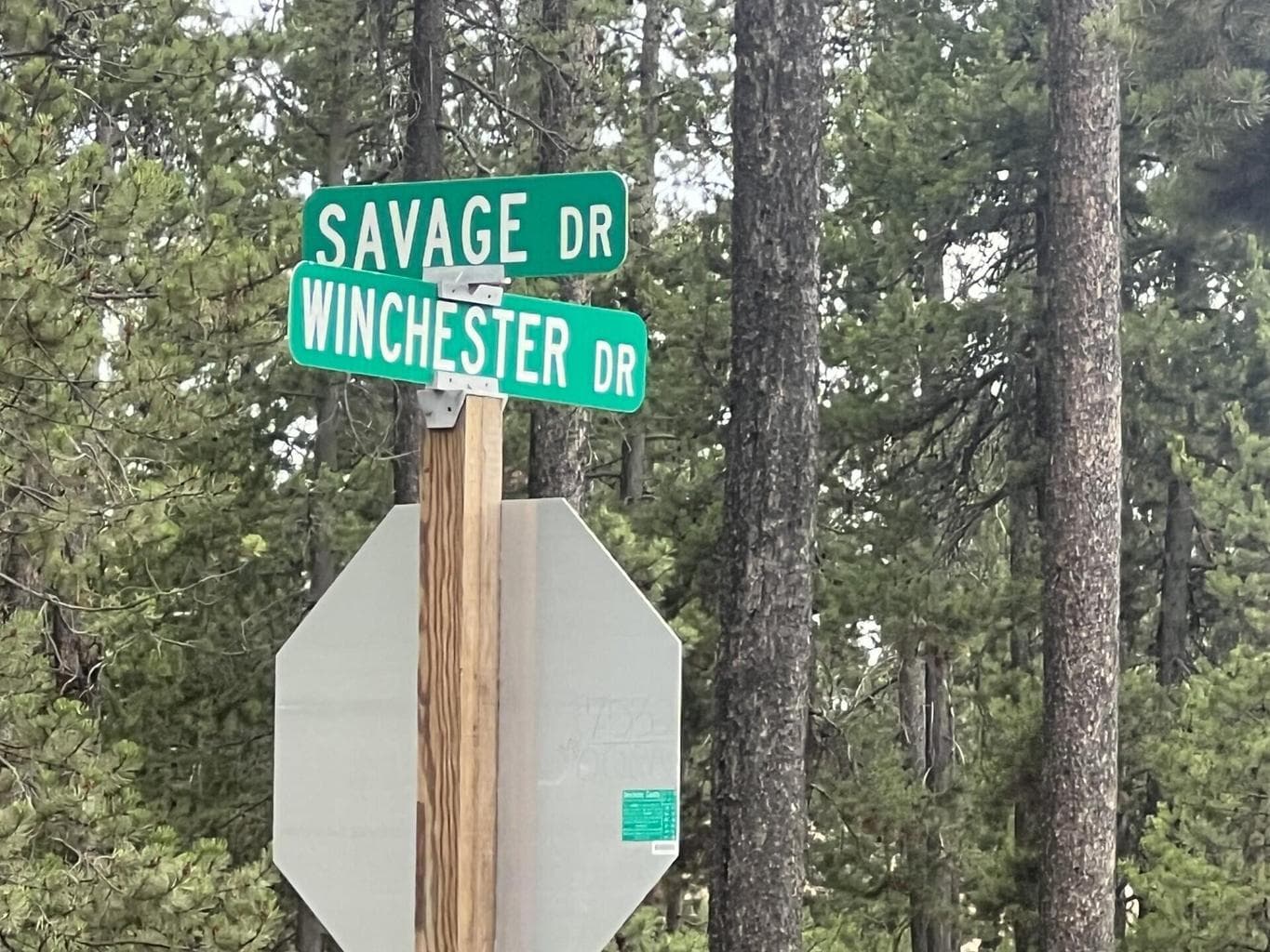 Photo of 55975 Savage 5 of 5