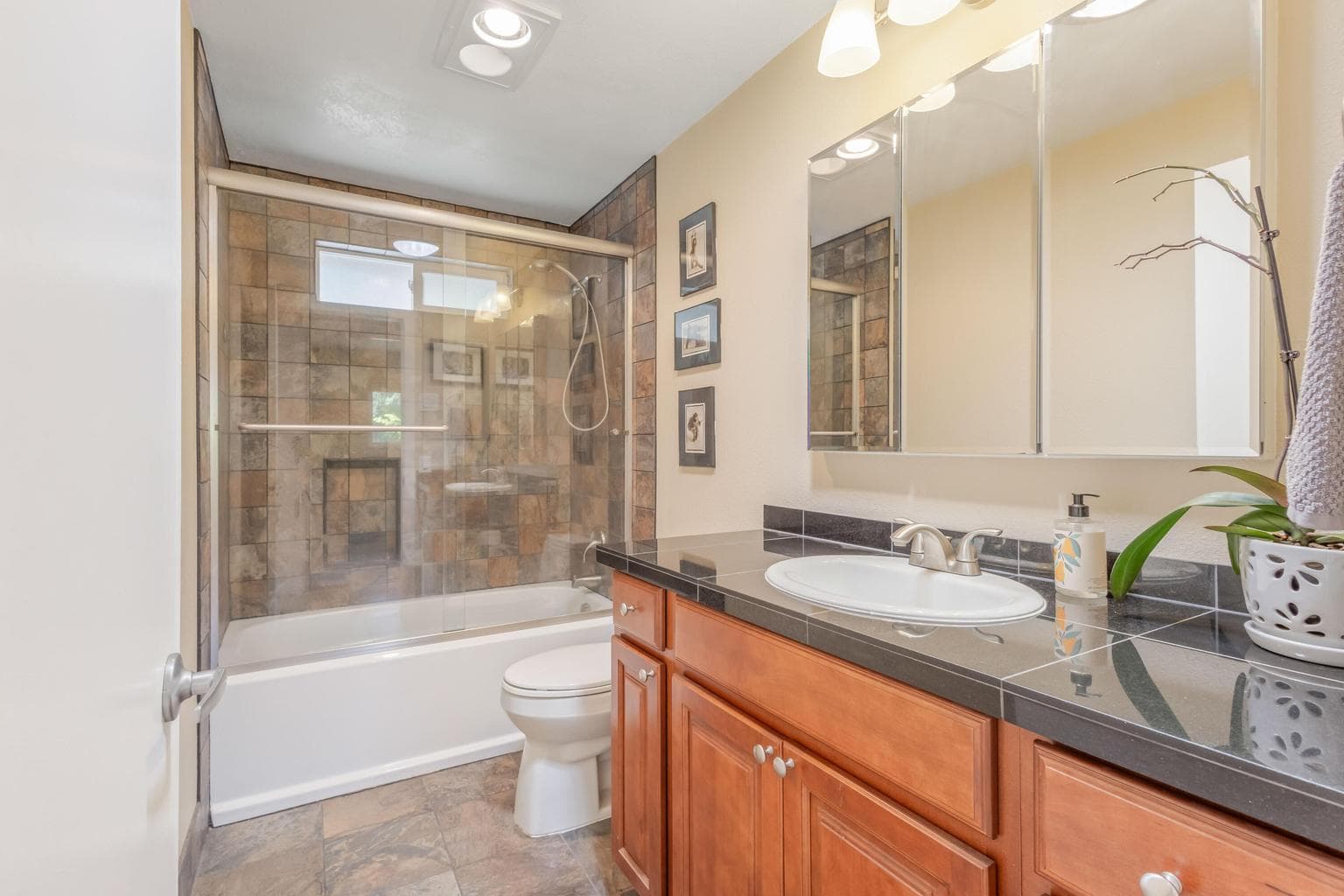 Updated Guest Bath
