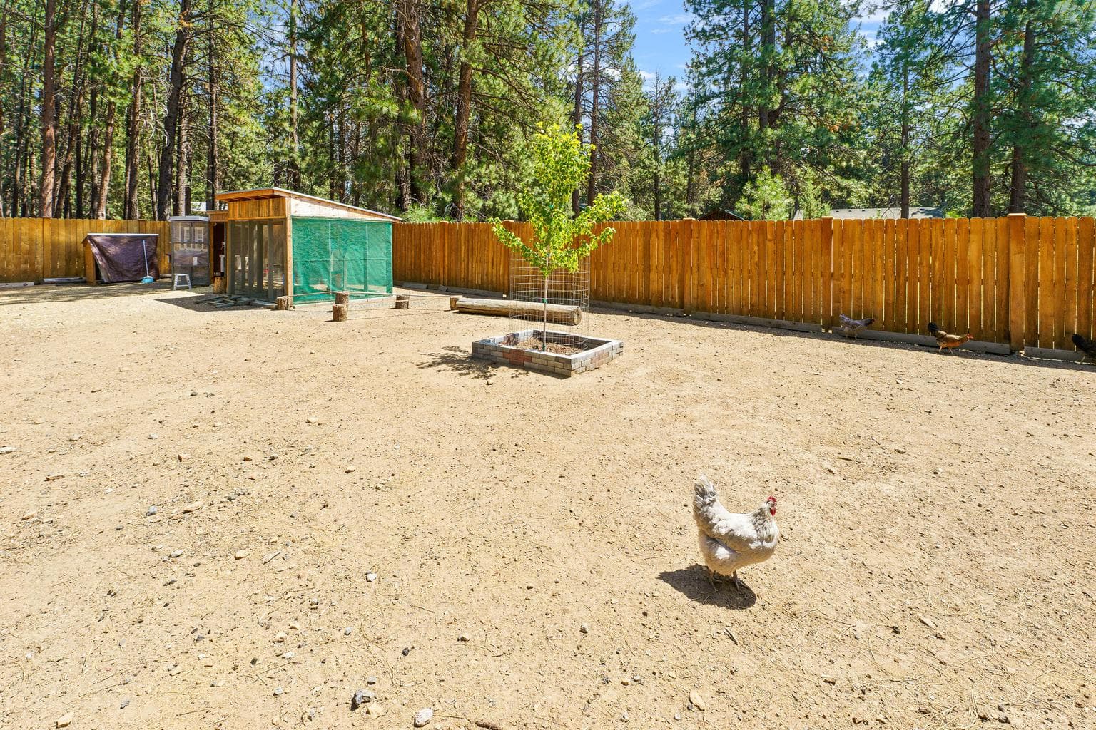 Photo of 19415 Comanche Circle 44 of 54