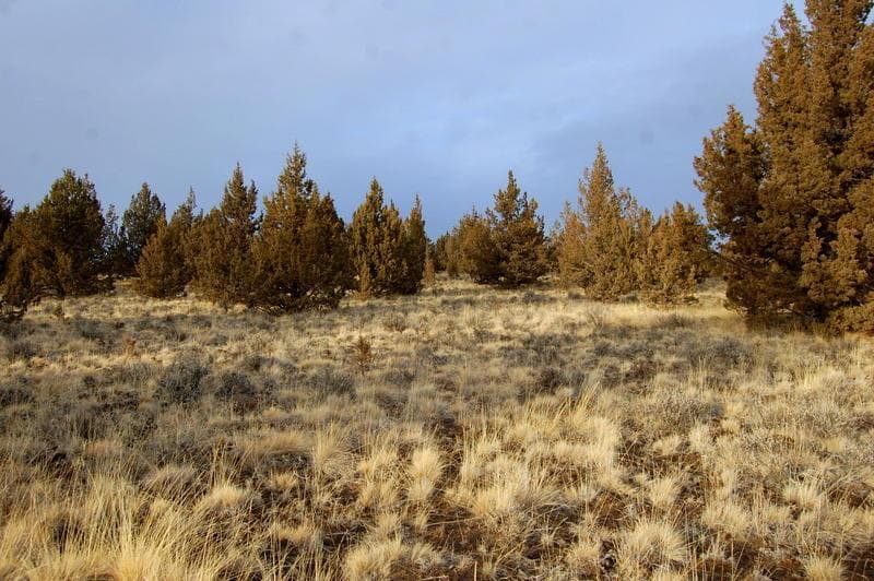 Photo of TL 1700 Iowa 4 of 12