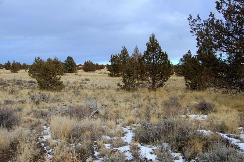 Photo of TL 2300 Iowa 5 of 8