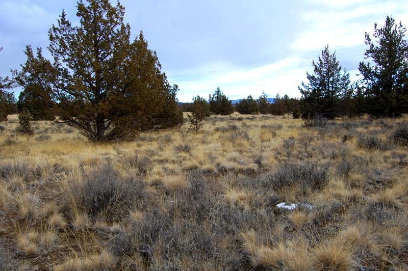 Photo of TL 2300 Iowa 4 of 8