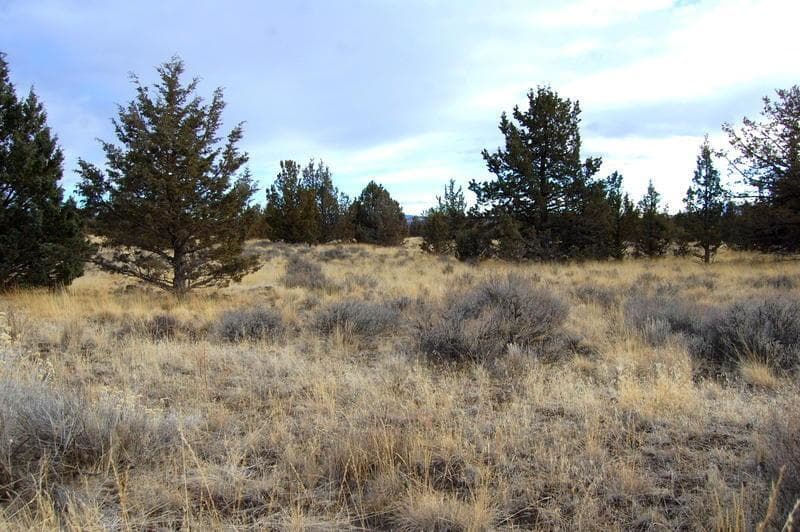 Photo of TL 2300 Iowa 2 of 8