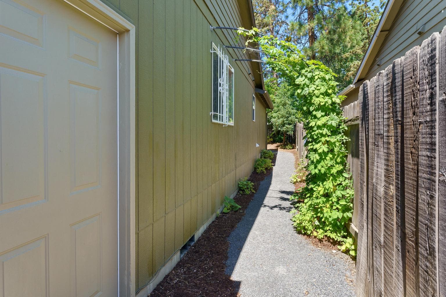 side yard