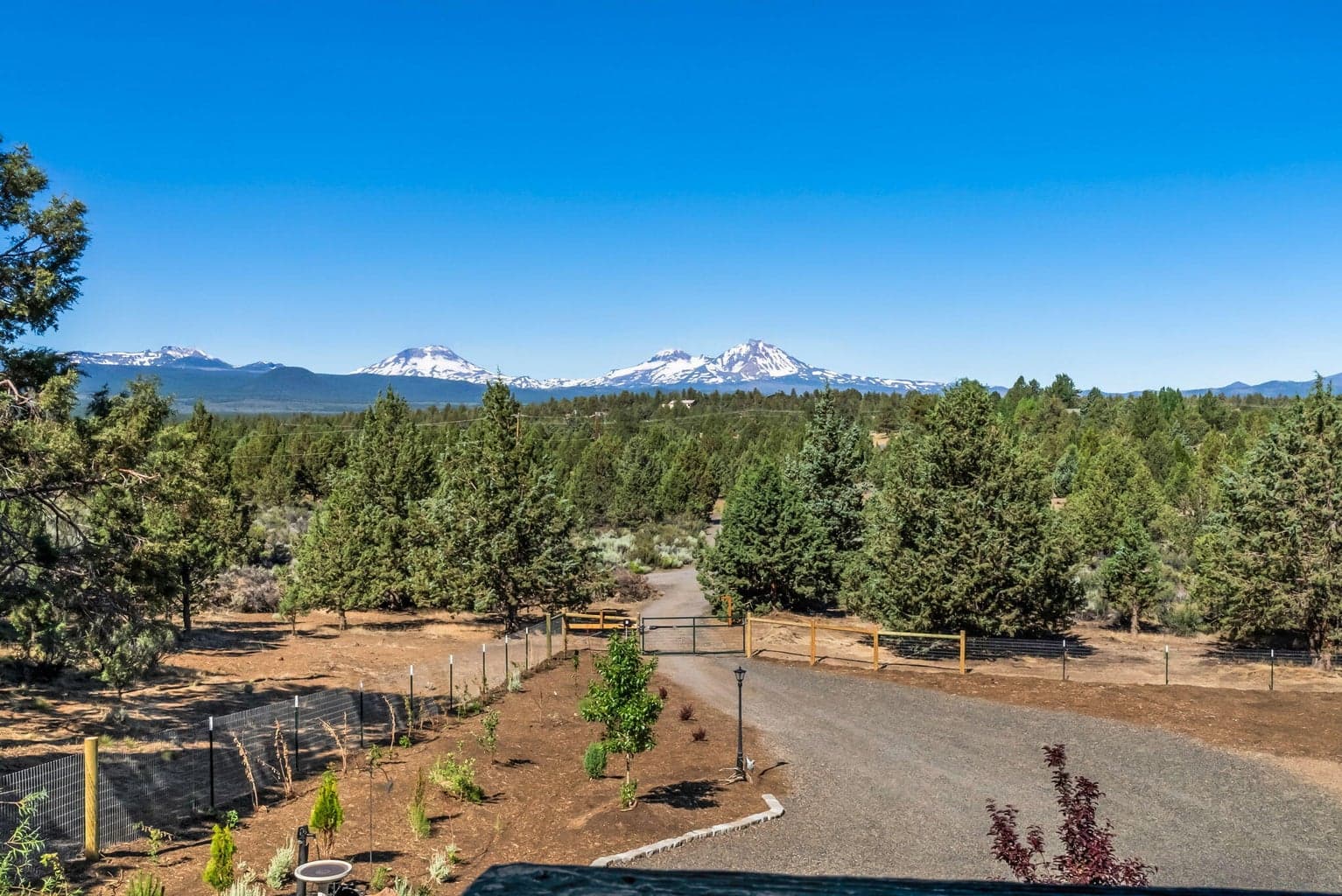 Mountain Views From Home