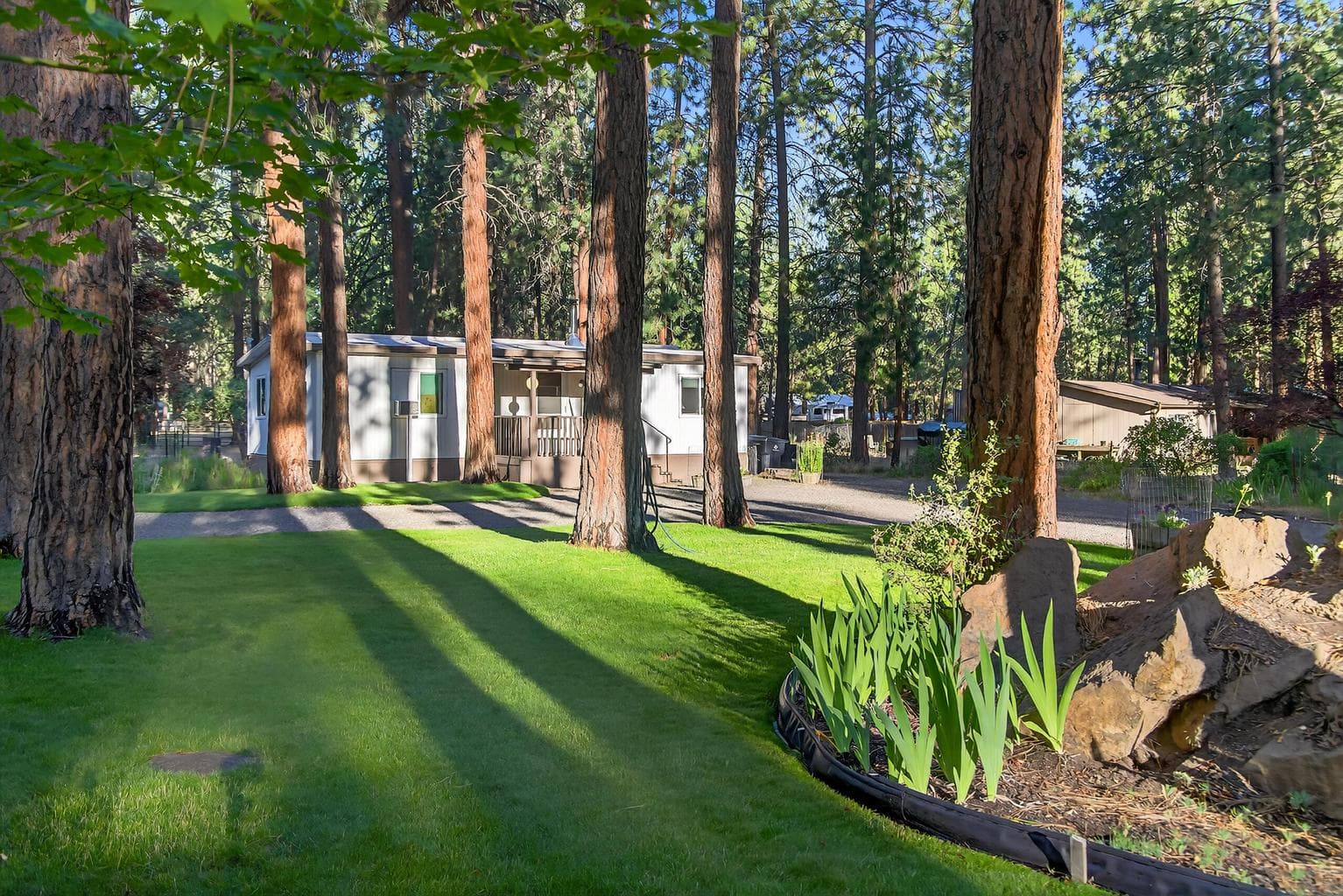 Front Lawn