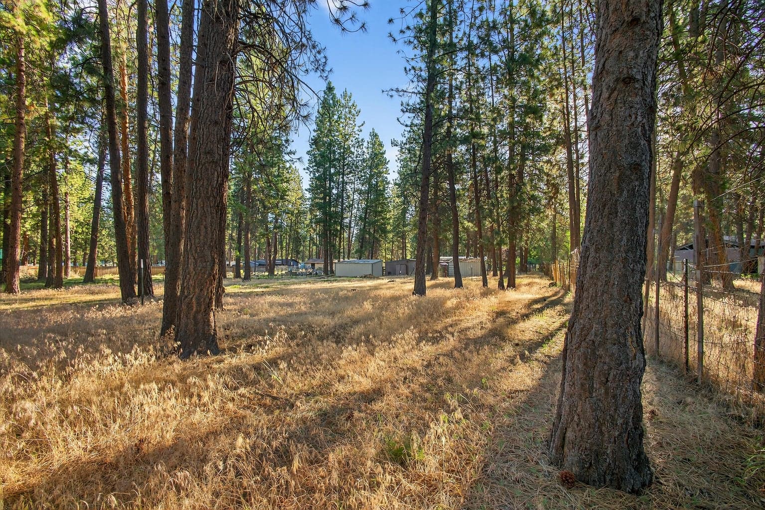Back Acre