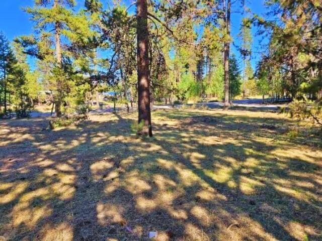 Photo of 52433 Pine Drive 18 of 20