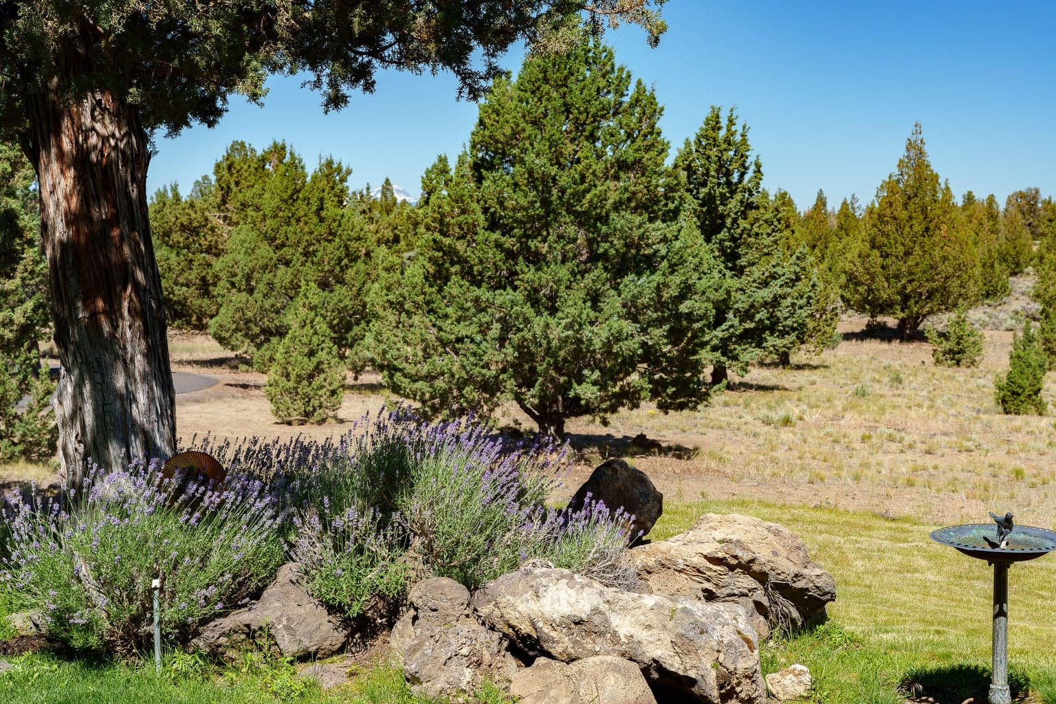 Photo of 23444 Butterfield Trail 40 of 56