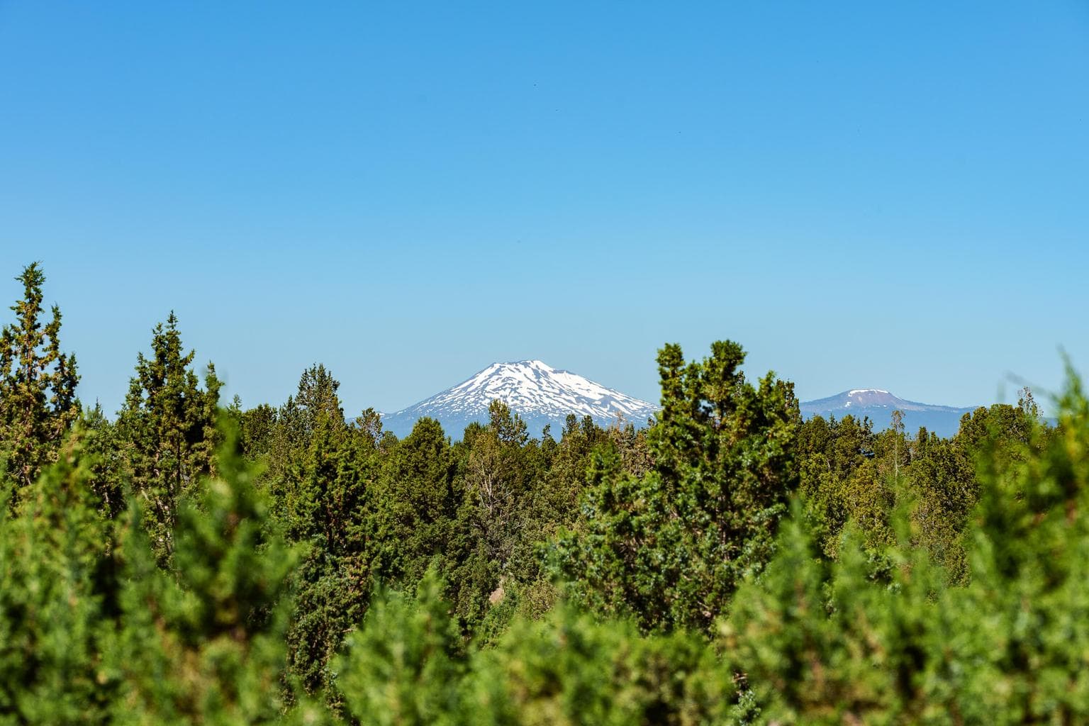 Photo of 23444 Butterfield Trail 41 of 56