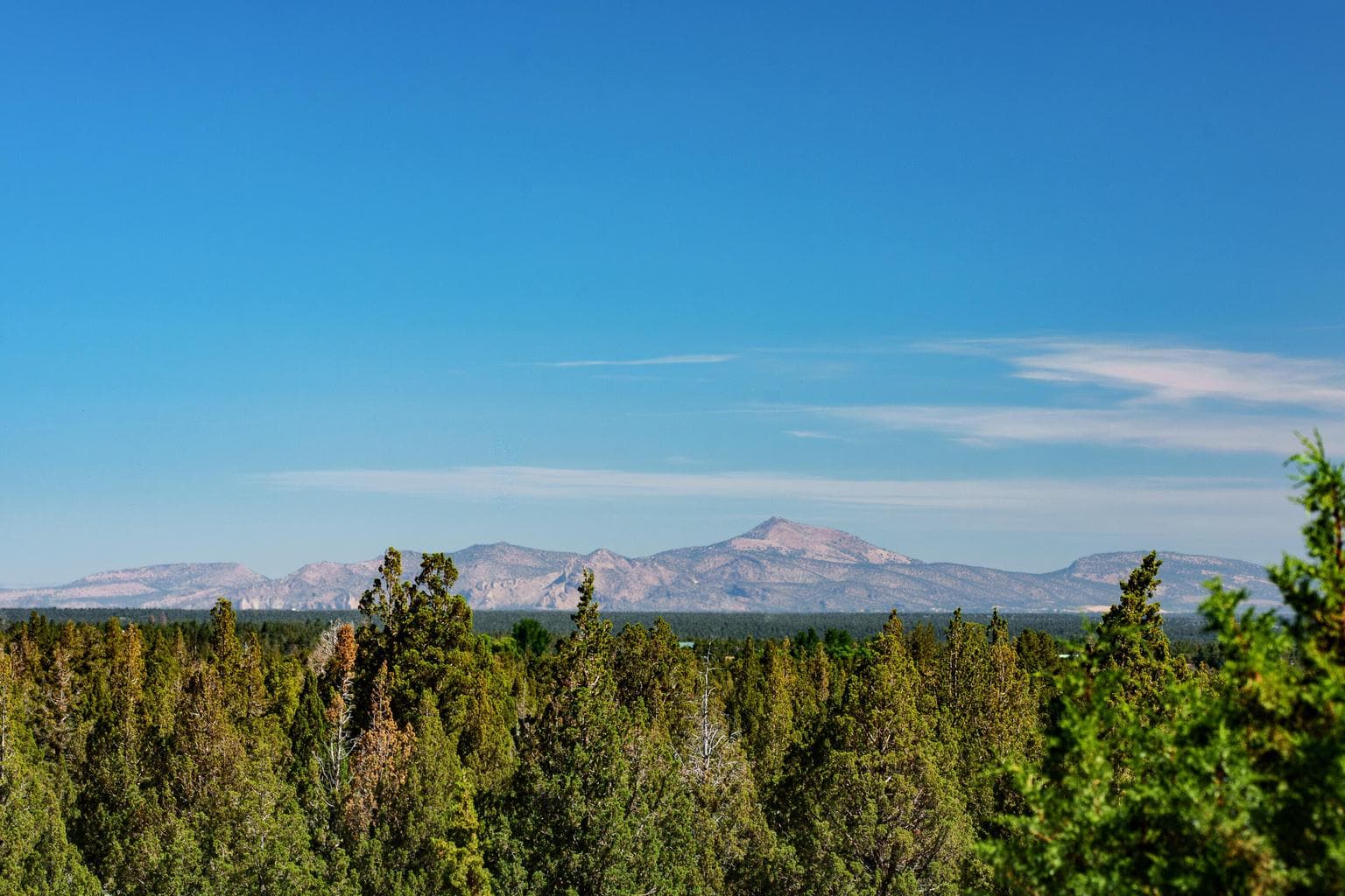 Photo of 23444 Butterfield Trail 42 of 56