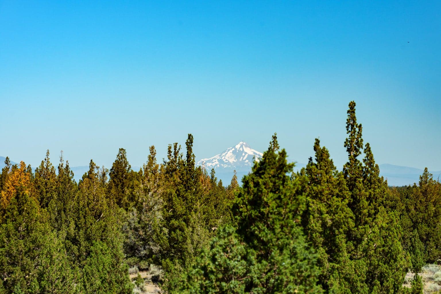 Photo of 23444 Butterfield Trail 43 of 56